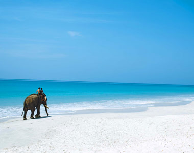 Babar and Me and the Deep Blue Sea from Condé Nast Traveler on Concierge.com