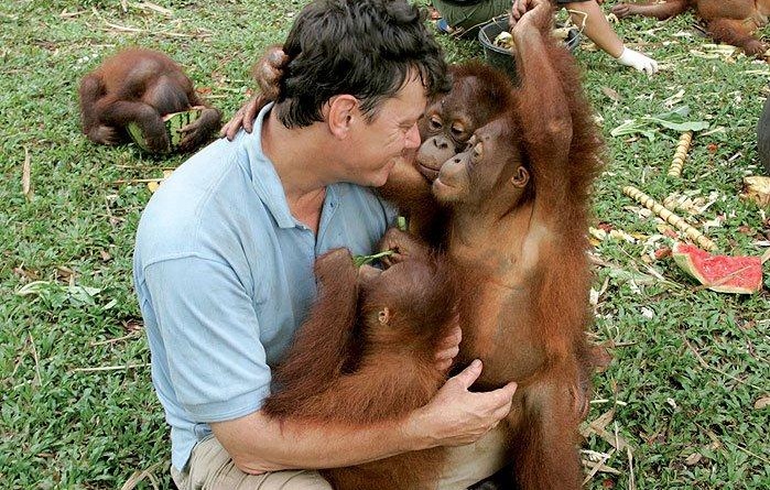 Orangutan Sex With Girl